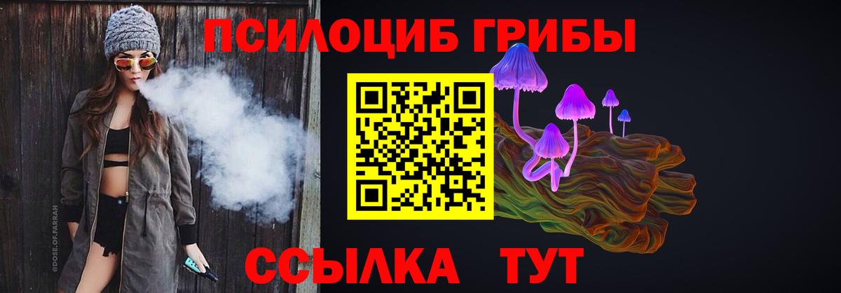Галлюциногенные грибы прущие грибы Советская Гавань